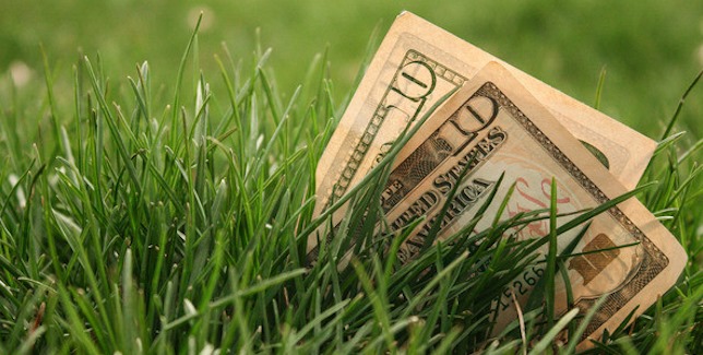 Get Affordable Lawn Care by GreenPal 5